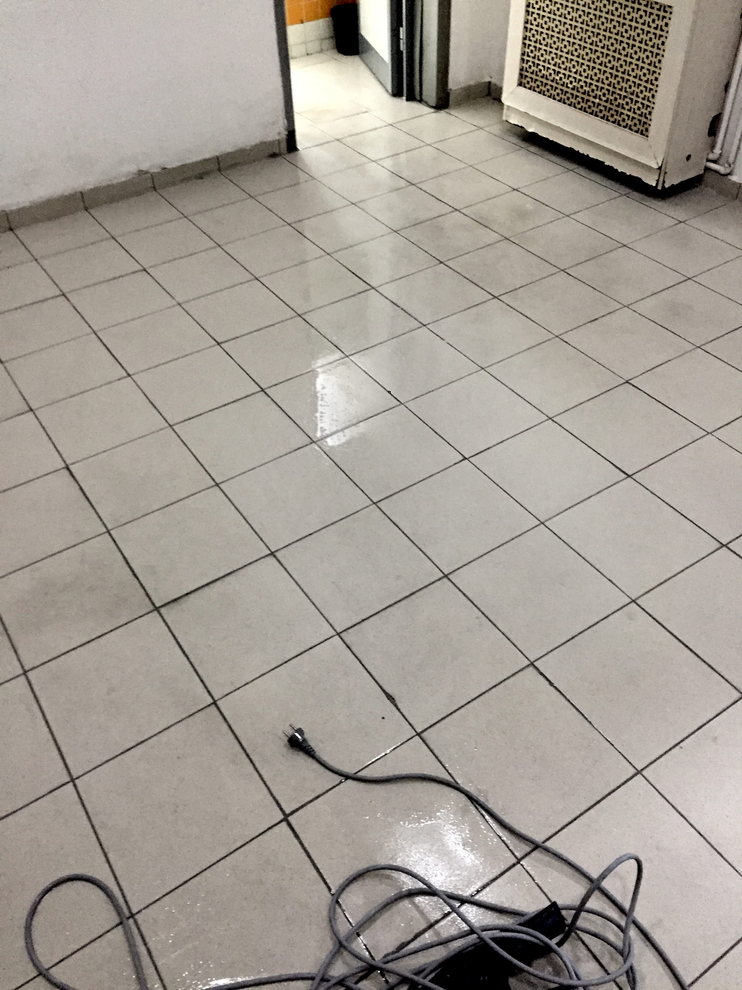 kurumsal temizlik ankara