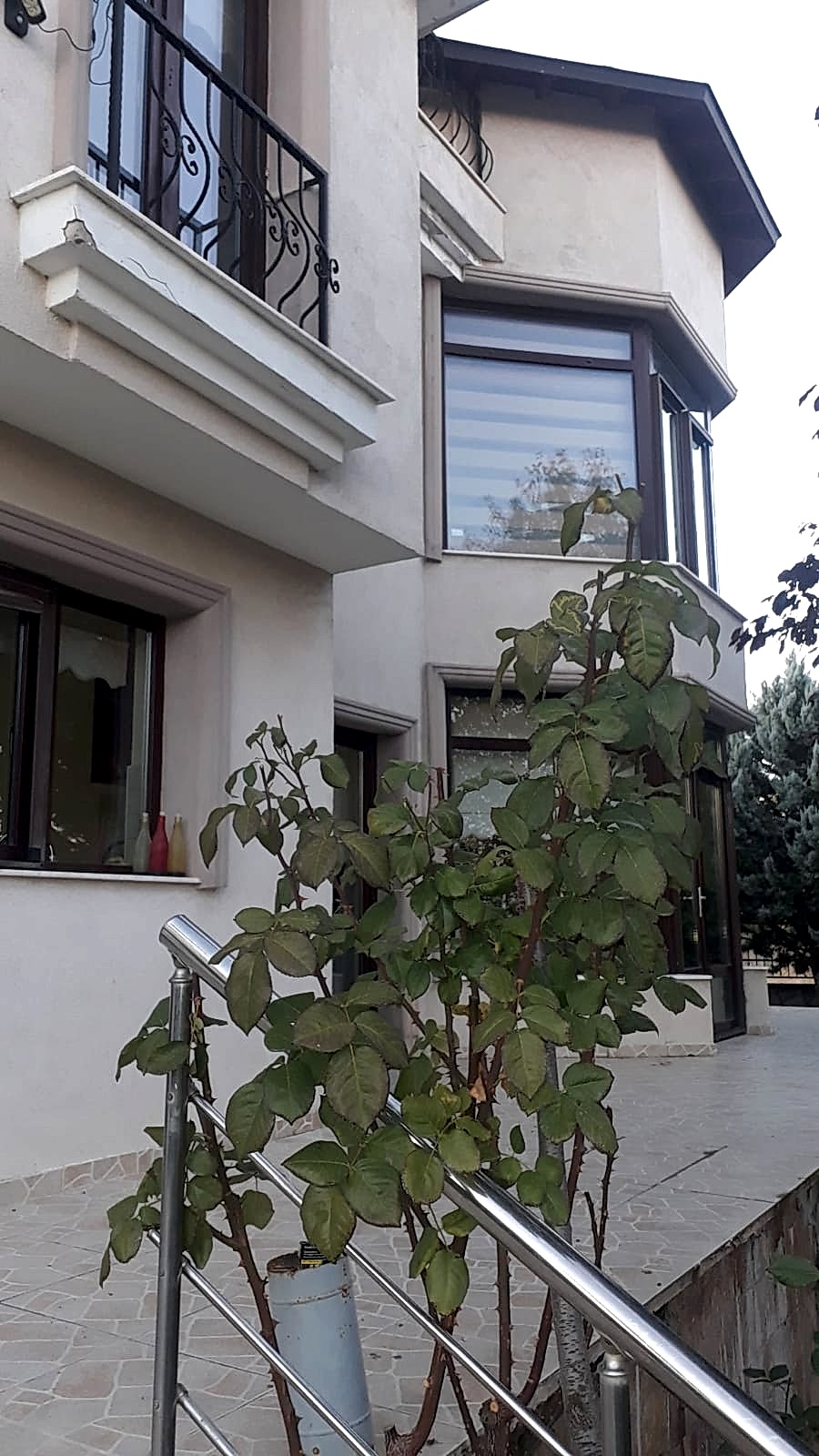 kurumsal temizlik ankara