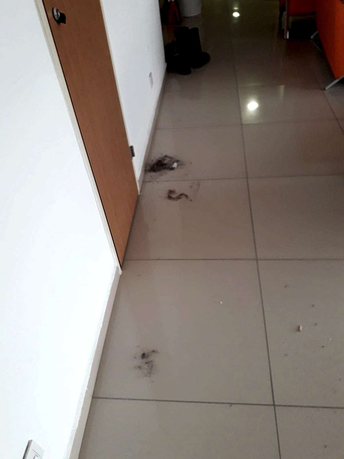 kurumsal temizlik ankara